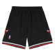 Mitchell & Ness Ανδρικό σορτς NBA Chicago Bulls 97-98 Alternate Swingman shorts